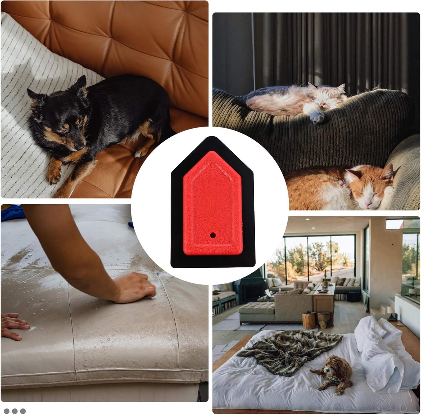 Pet Remover Dog Matted Hair Removal Reusable Pet Hair Catcher Detangler Spray for