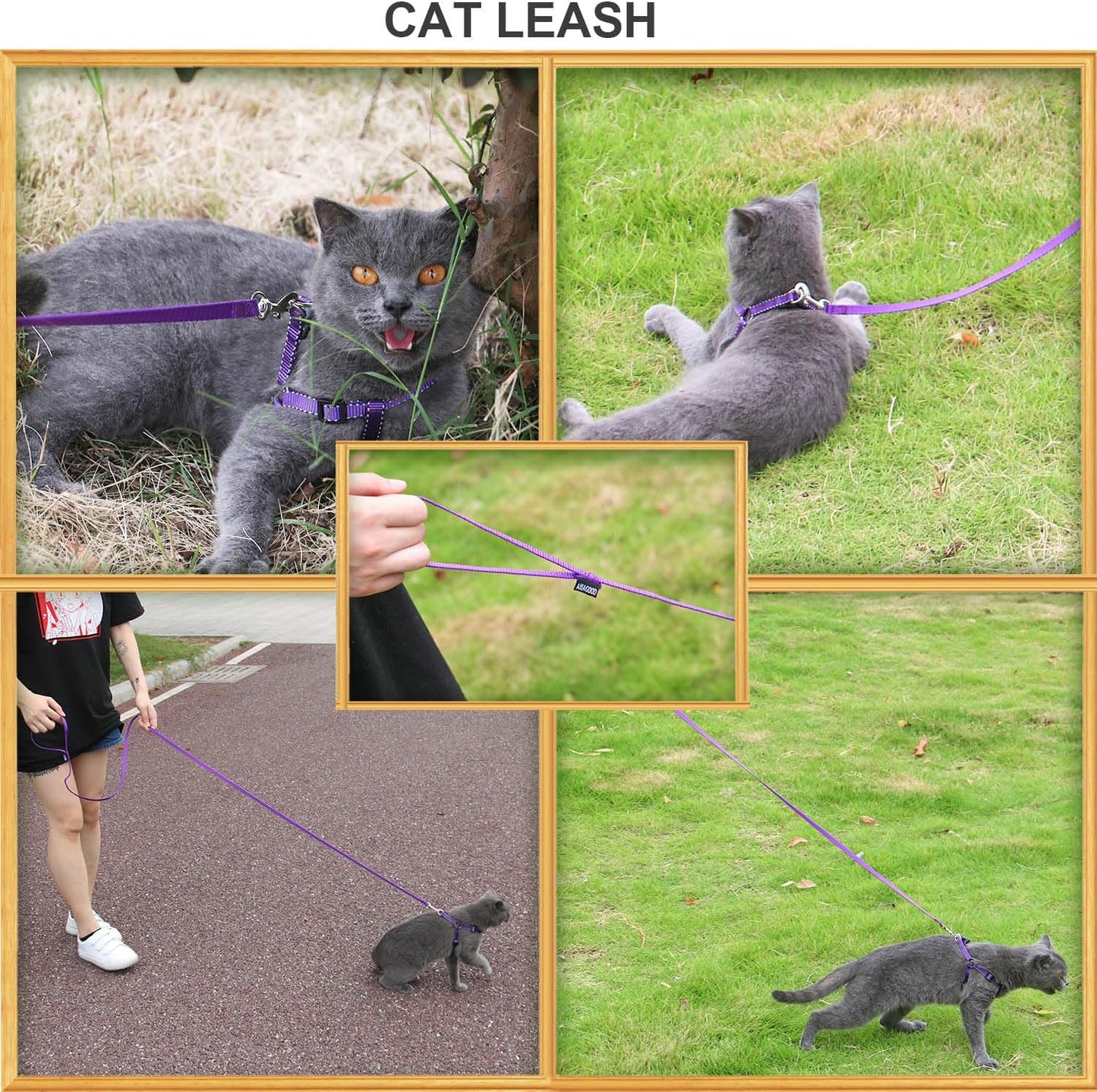 AMAGOOD 6 FT Cat Leash, Strong and Durable Traditional Style Leash with Easy to Use Collar Hook,Cat Lead Great for Cats (3/8 in x 6 ft,Black and Pruple(2-Pack))