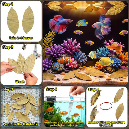 55+ Dried Longan Leaves (4-6 Inch) - Natural Terrarium Leaf Litter for Bioactive Setup, Isopods, Snakes, Frogs, Spiders, Betta Fish- Moisture Retention & Hiding Cover