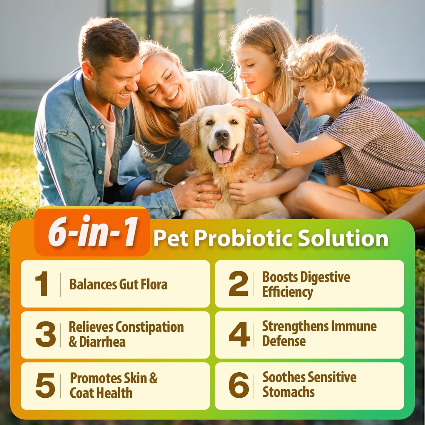 PENPEN Probiotics for Dogs, Dogs Probiotics for Digestive Health, Multi-Probiotic and Enzyme Blend Promote Gut Health & Immune Support, Eases Sensitive Stomachs - Beef Flavor, 180 Soft Chews