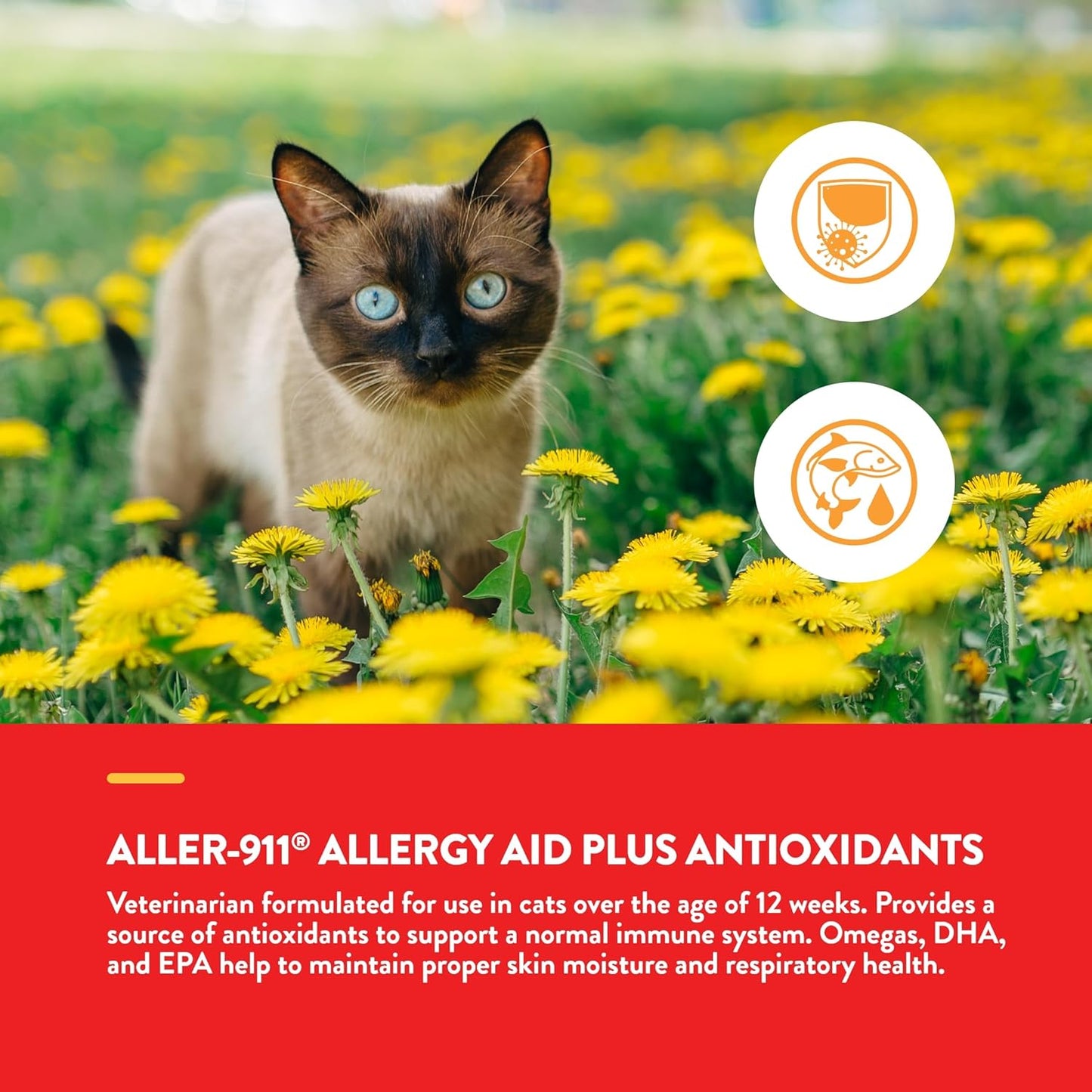 NaturVet – Aller-911 Allergy Aid Plus Antioxidants for Cats – 60 Soft Chews | Supports Immune System, Skin Moisture & Respiratory Health | Enhanced with Omegas, DHA & EPA | 30 Day Supply