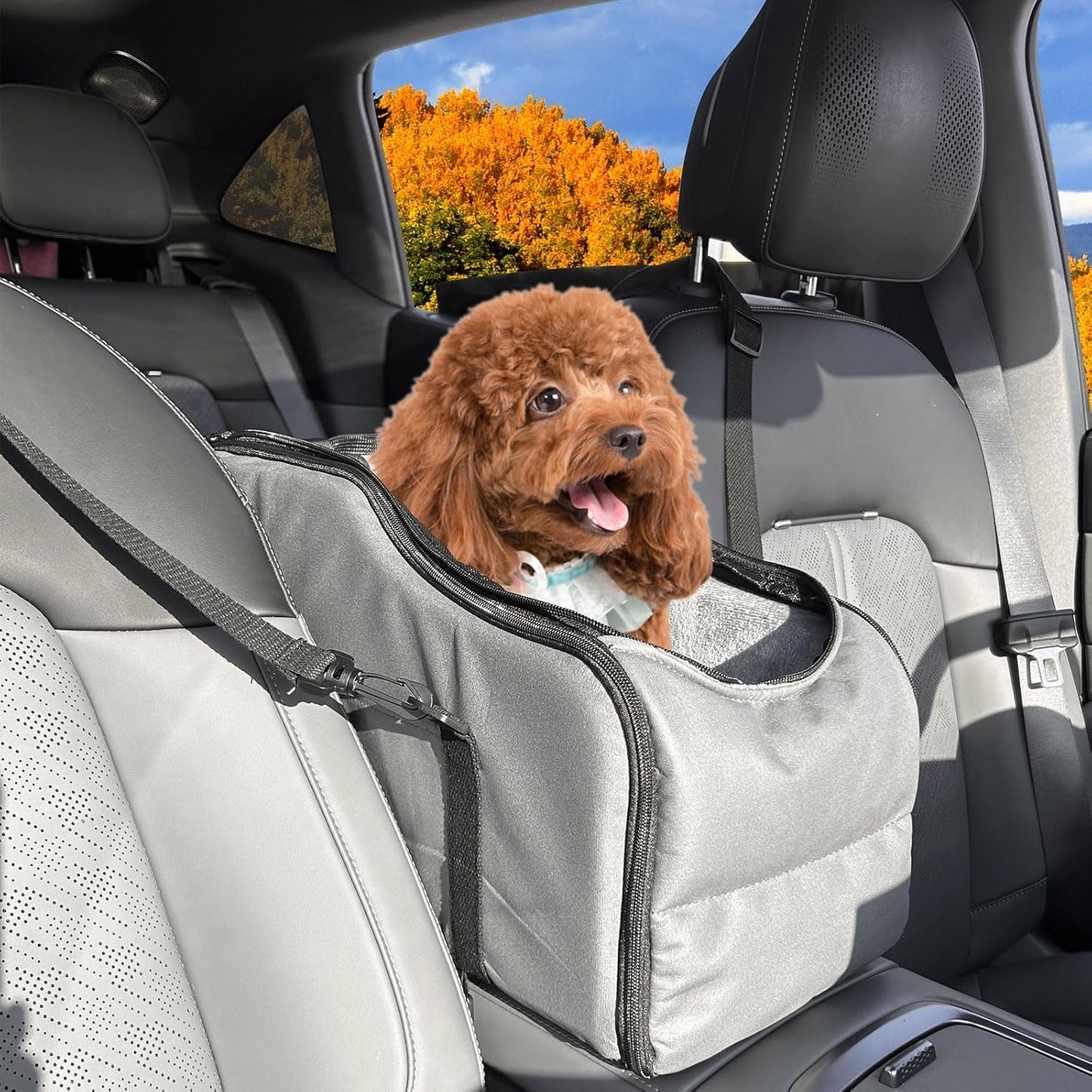 Dog Car Seat for Small Medium Dogs to 0-13lbs, Portable Memory Foam Console Dog Armrest Booster Seat with Safety Belt, Detachable Soft Cushion, Pet Car Seat Travel Bed
