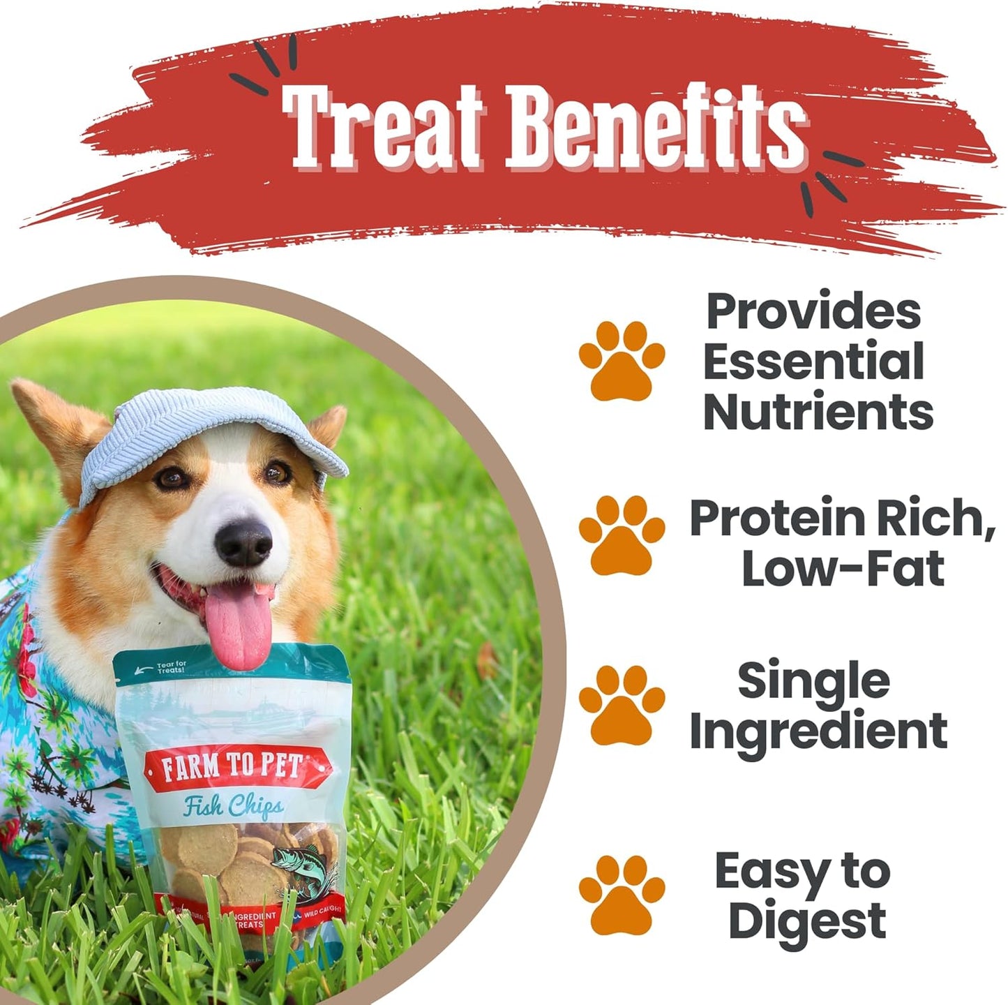 Farm To Pet - Dog Training Treats - Chicken, Turkey, Beef and Fish Chip Protein Variety Pack - 100% All Natural, Single Ingredient Training Treats for Small, Medium, and Large Dogs - Made in USA