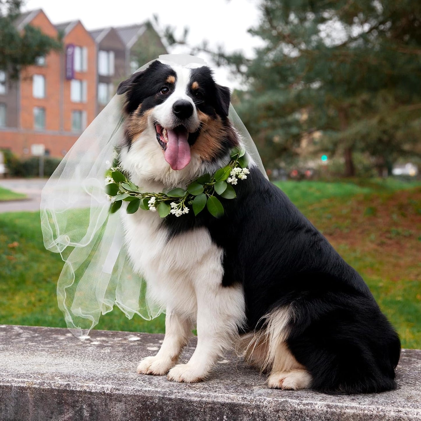 Dog Bow Bride Veil, Pet Wedding Veil with Clip White Dogs Veils Dress Handmade Two-Layer Dogs Headwear Wedding Outfit Hair Accessories for Birthday Weddings Party Decorations