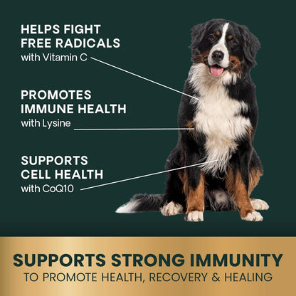 VetriScience Immunity Health Easy-Open Capsules, Immune Plus Supplement for Medium and Large Breed Dogs, Cell Advance Immune and Allergy Support with Antioxidants, Hypoallergenic Formula, 120 Count