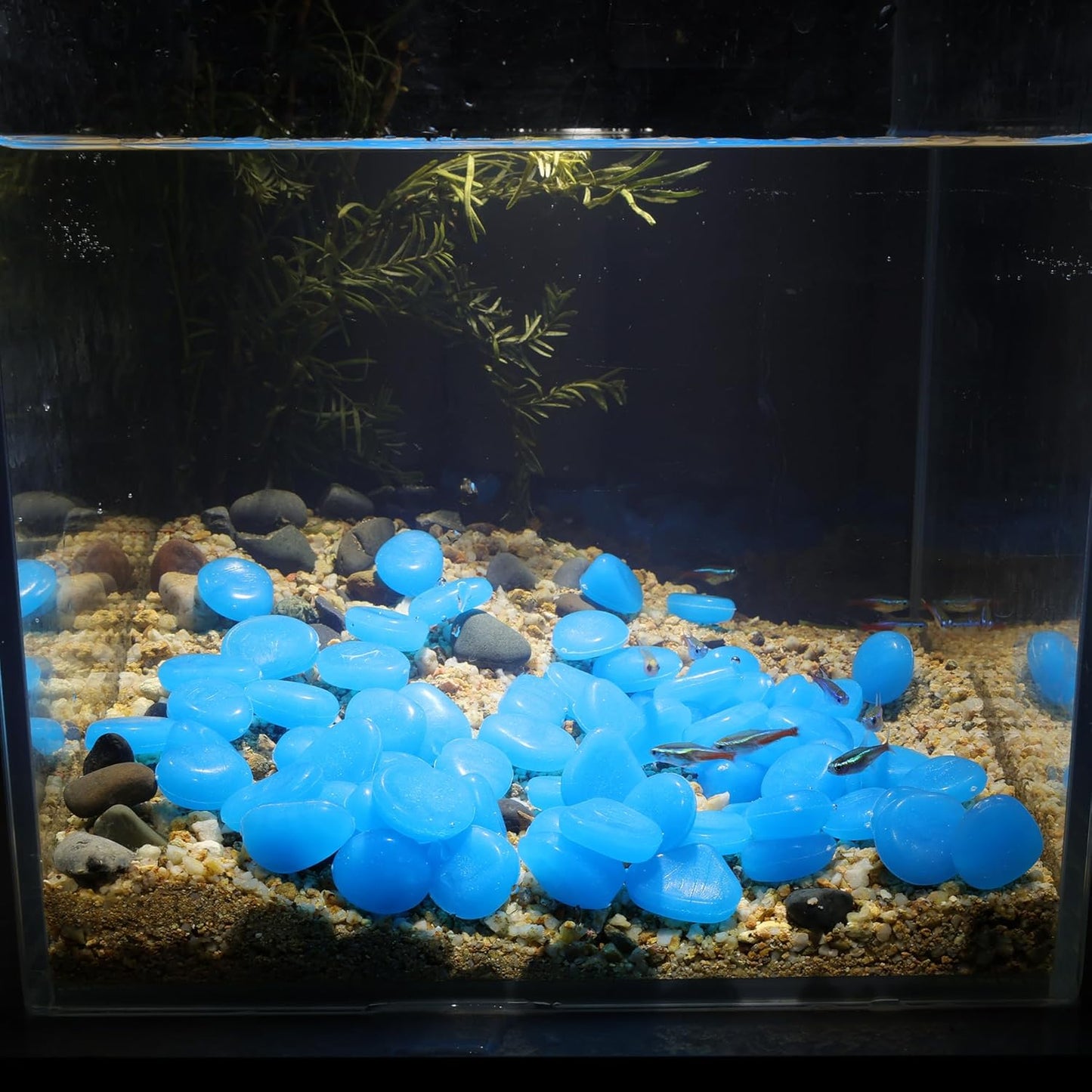 Oubest Fish Tank Rocks Glow in The Dark Pebbles for Garden Aquarium Plant PotsBonsai Walkway Driveway 100pcs Blue