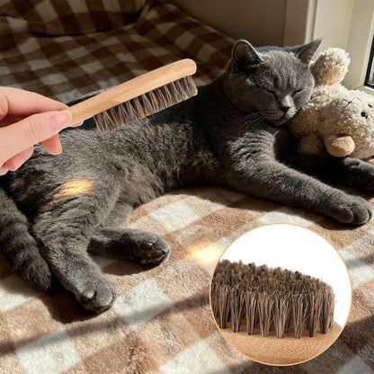 Soft Bristle Dog Cat Brush for Shedding, Boar Bristle Pet Grooming Brush with Wood Handle Gentle Massage Tool for Short Long Haired Dogs Cats Kittens Grooming Supplies