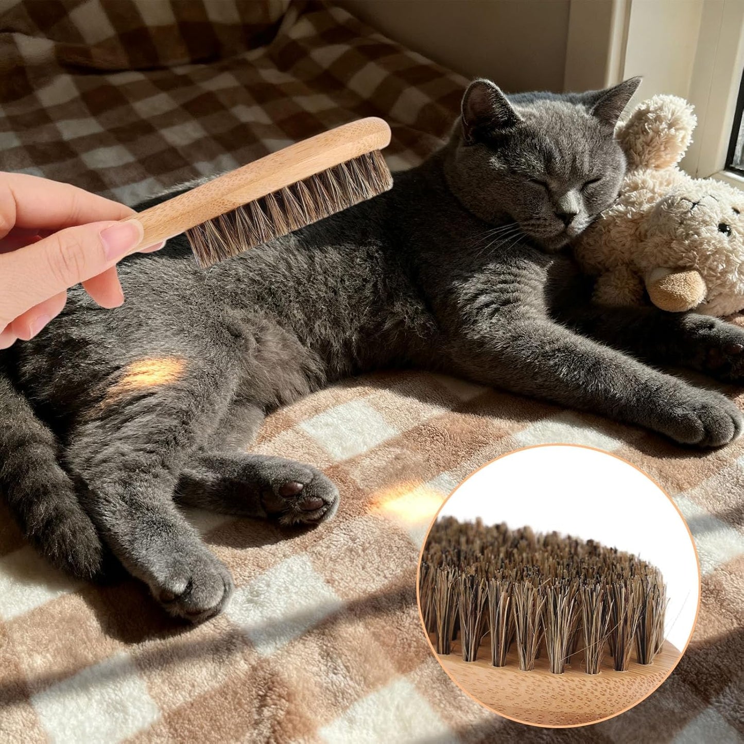 Soft Bristle Dog Cat Brush for Shedding, Boar Bristle Pet Grooming Brush with Wood Handle Gentle Massage Tool for Short Long Haired Dogs Cats Kittens Grooming Supplies