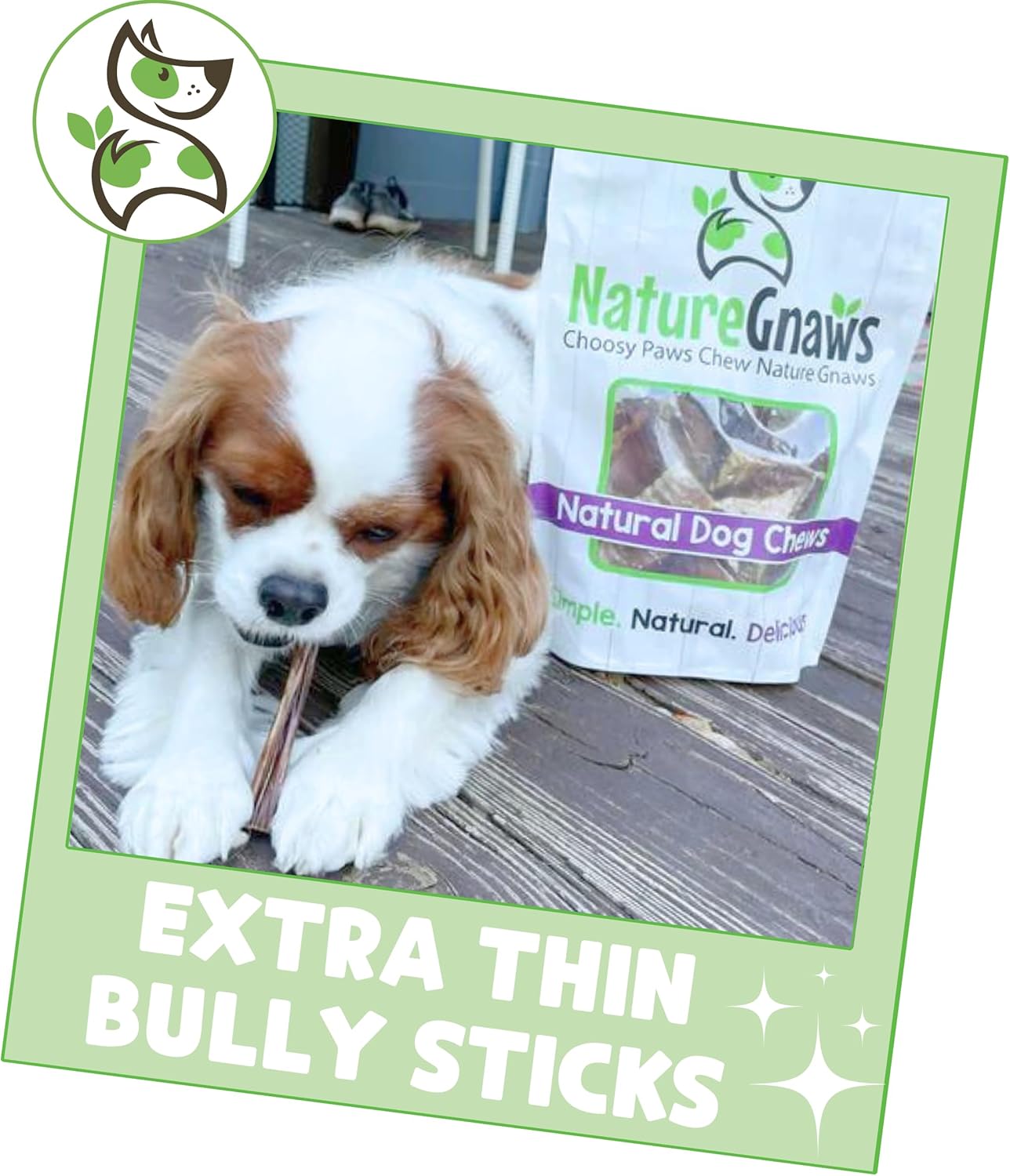 Nature Gnaws Extra Thin Bully Sticks for Small Dogs 5-6" (10 Count) - Long Lasting for Light Chewers and Puppies - Natural Beef Dog Chew Bones