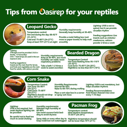 Reptile Thermometer and Hygrometer – Fast Accurate LCD Digital Temp & Humidity Meter for Bearded Dragon Tank Accessories, Lizard, Snake, Turtle, Amphibians, Small Animal Habitat