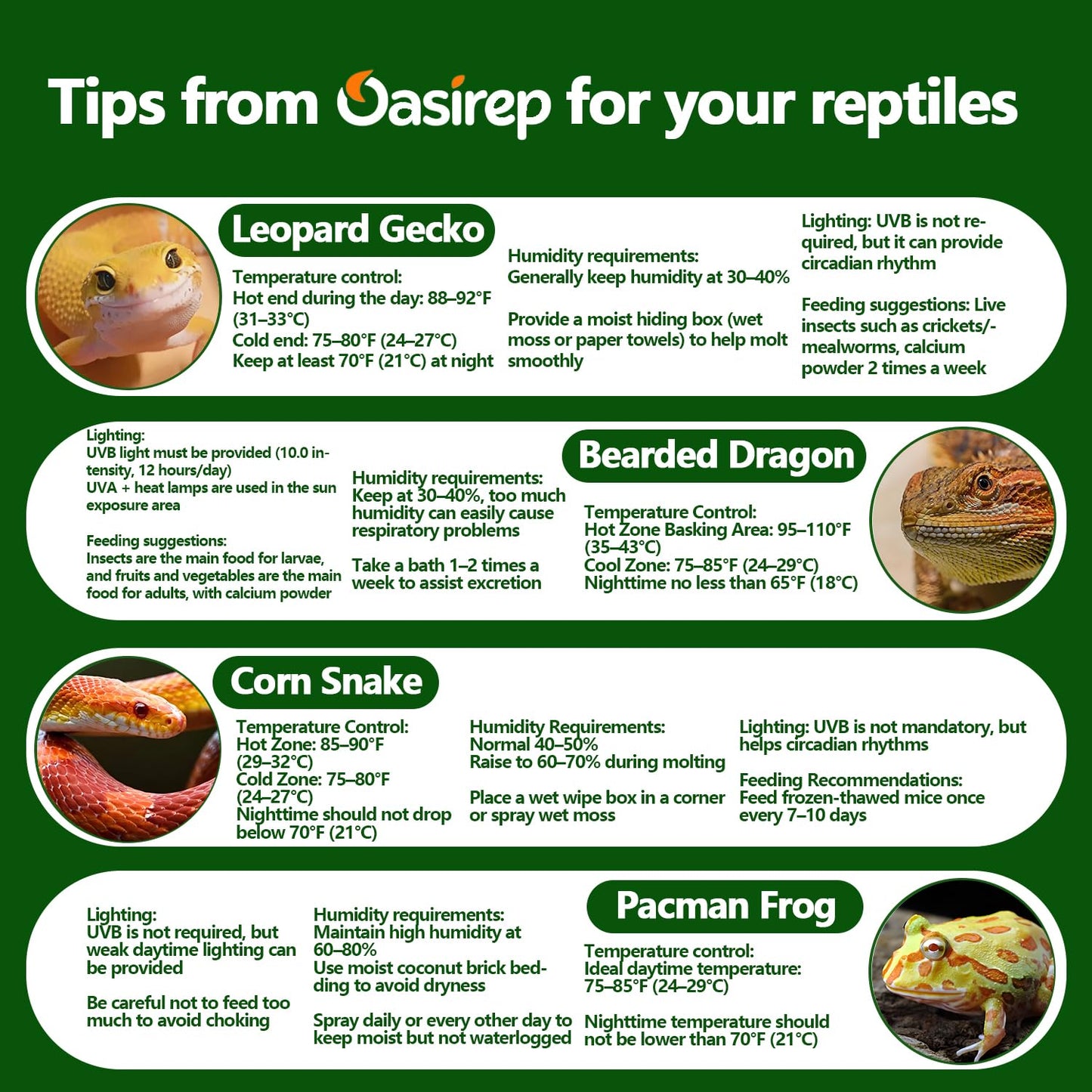 Reptile Thermometer and Hygrometer – Fast Accurate LCD Digital Temp & Humidity Meter for Bearded Dragon Tank Accessories, Lizard, Snake, Turtle, Amphibians, Small Animal Habitat