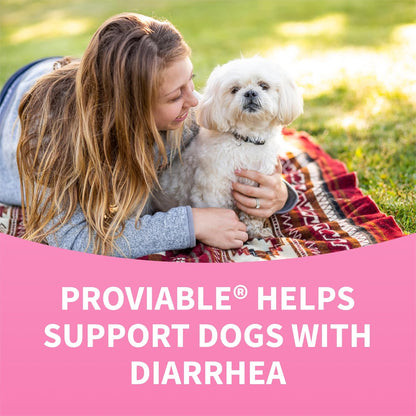 Nutramax Proviable Probiotics for Dogs, Diarrhea Support Kit, Digestive Health Supplement with Multiple Strains of Bacteria, Plus Prebiotics, Kaolin and Pectin, 30 ml Paste and 10 Capsules