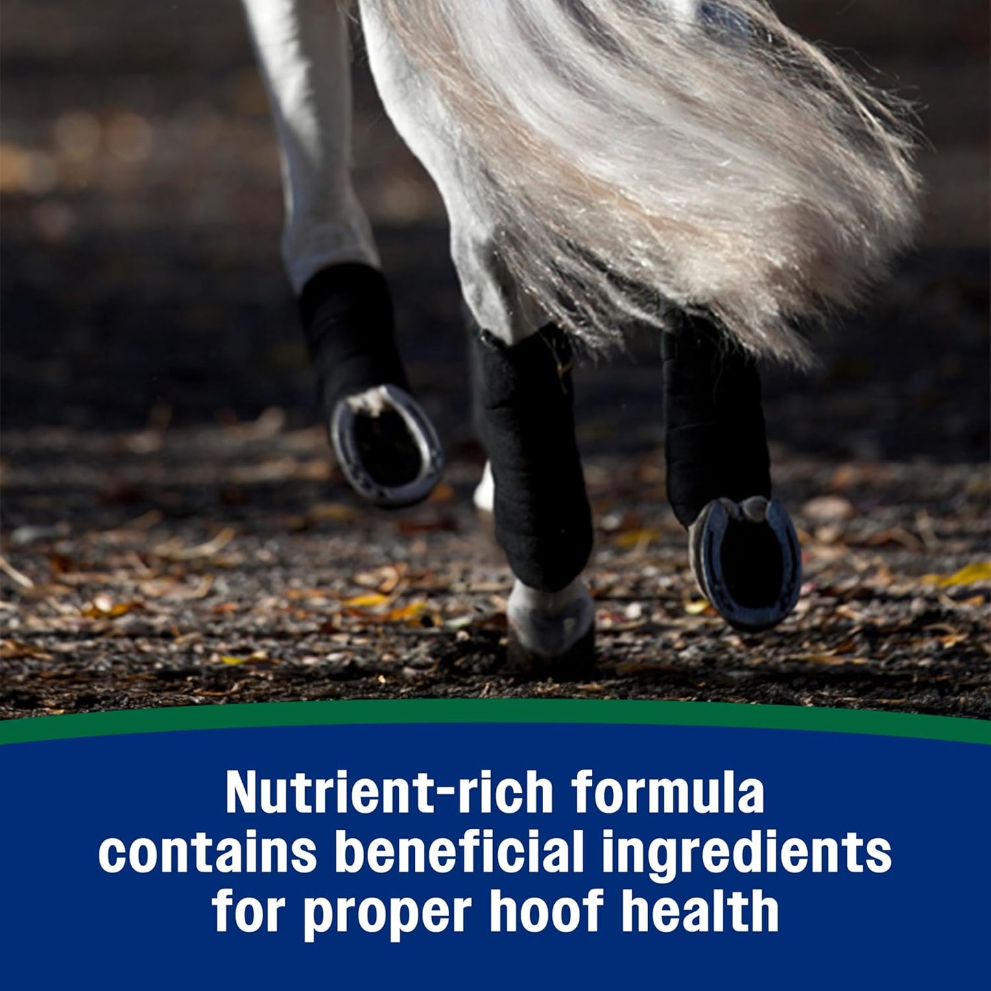 Farnam Horseshoer's Secret Pelleted Hoof Supplements, Promotes healthy hoof growth, maintains hoof walls & supports cracked hooves, 38 lbs., 100 day supply