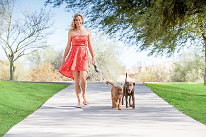 WIGZI - 2025 Enhanced Edition - Dual (2) Dog Retractable Leash, Auto-Untangles, Supports Up To 50lb Dogs, 10ft Distance Each Dog, Color-Coded Control, Reflective Leads, Waterproof, Gray Color