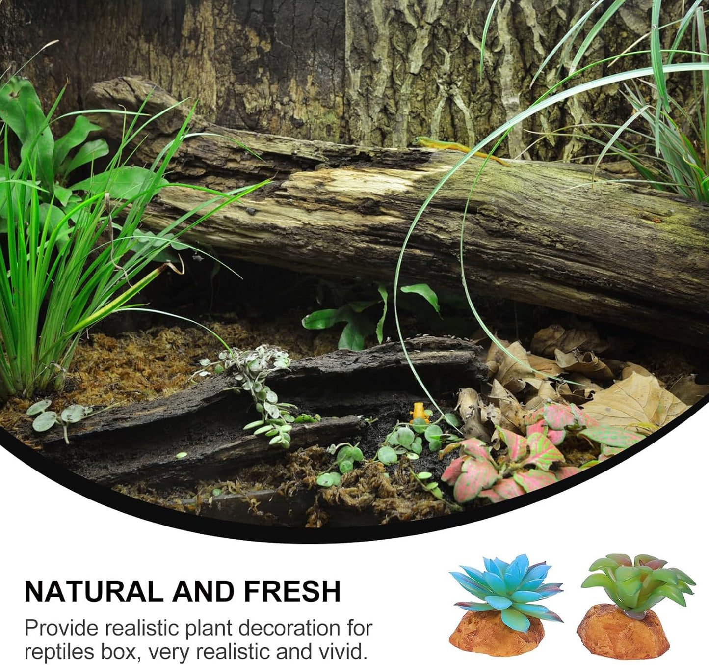 2Pcs Reptile Tank Artificial Succulent Plants Decor Set Lifelike Simulation Plants Adornment for Reptile Habitat Box Sturdy Plastic Terrarium Landscaping Accessories for