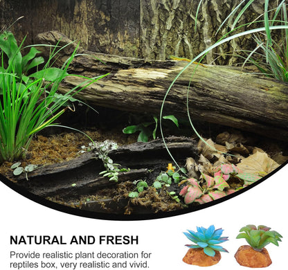 2Pcs Reptile Tank Artificial Succulent Plants Decor Set Lifelike Simulation Plants Adornment for Reptile Habitat Box Sturdy Plastic Terrarium Landscaping Accessories for