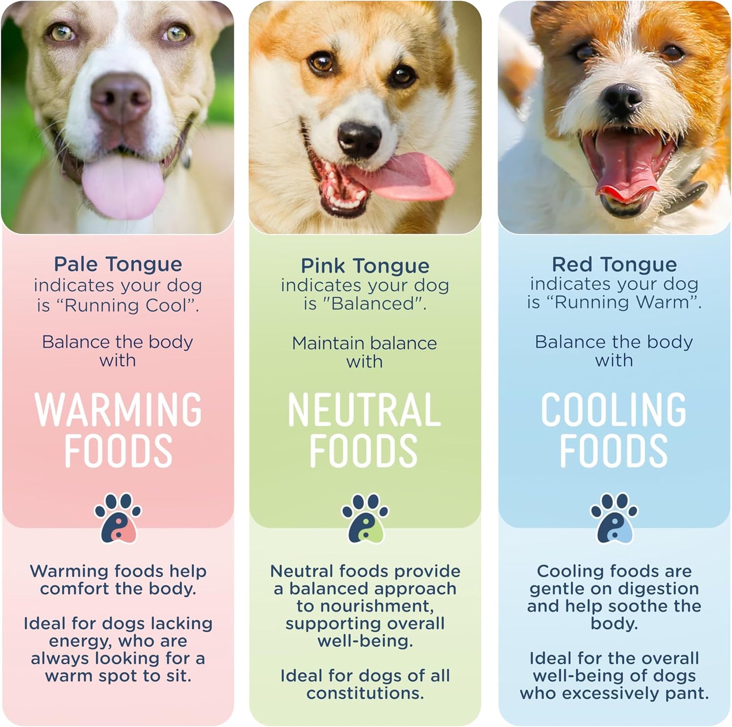 Side by Side Chicken Bowl Booster - Warming Freeze-Dried Dog Food Topper for All Breeds - Made with Nutrients & Whole Raw Foods Toppers for Dogs - No Artificial Additives or Fillers (4 oz, 2-Pack)