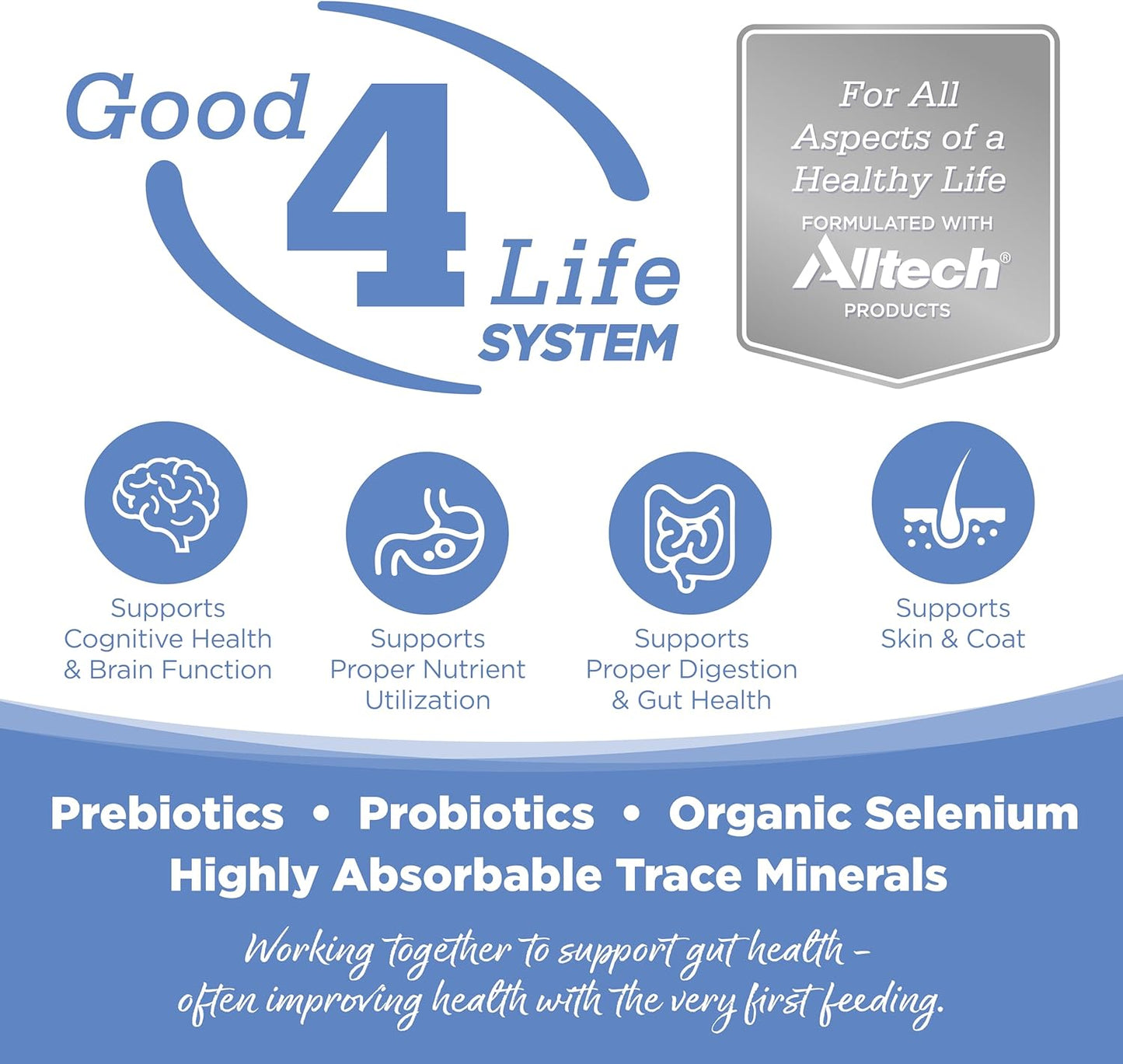 NutriSource Pure Vita Limited Ingredient Grain Free Dry Dog Food, Small Bites, Turkey and Sweet Potato, 12LB