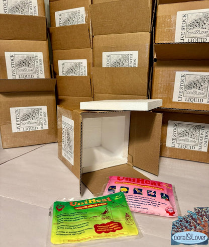 coralSLover. Live Aquaculture Coral Decor – Pulsing Xenia for Saltwater Reef Tanks (Frag)