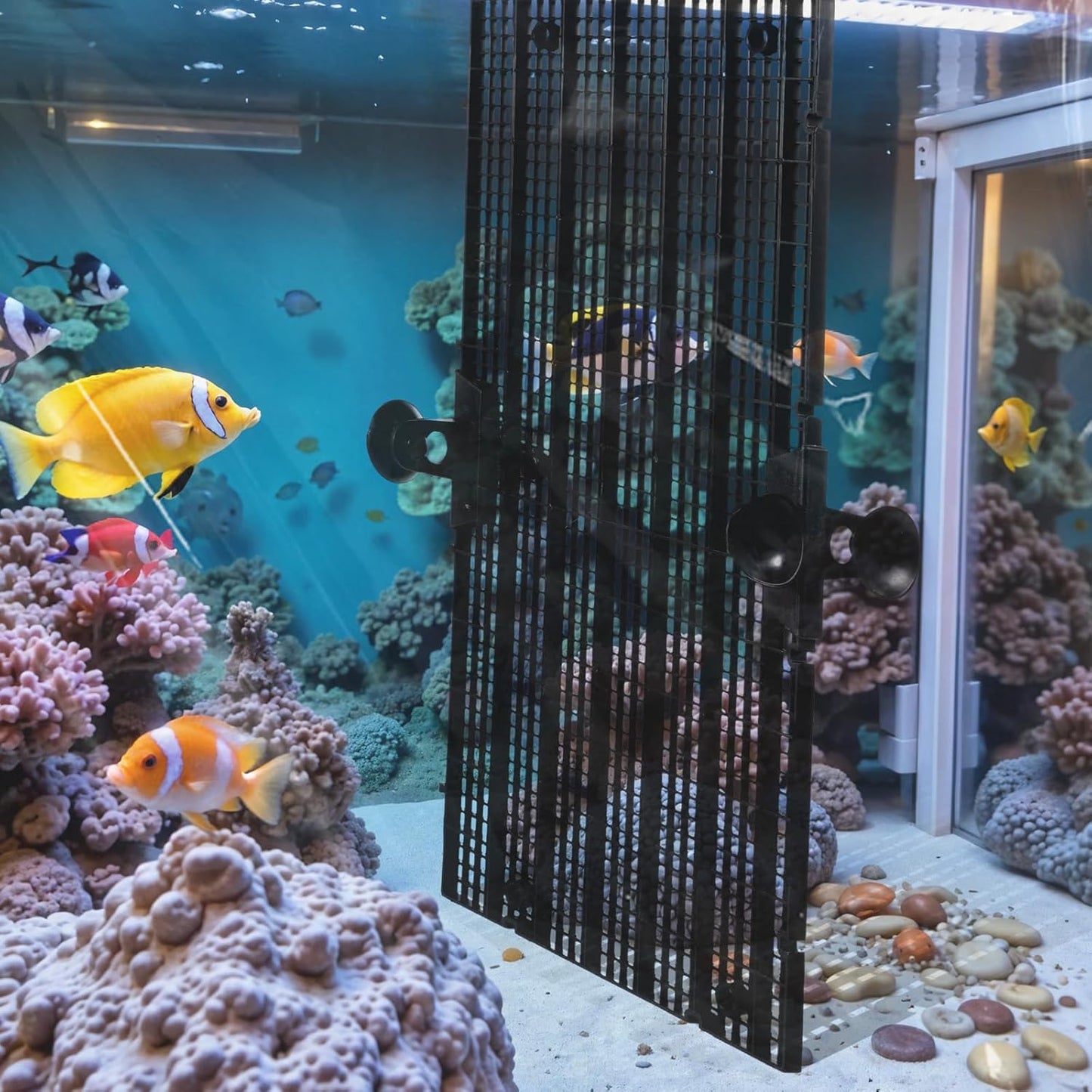 DIVINA VITAE 12Pcs Fish Tank Divider with 16 Suction Cups, 11.81 x 5.91inch Aquarium Divider Plastic Grid Sheet Adjustable Fish Tank Separator for DIY Filtration and Bottom Protection in Aquascaping