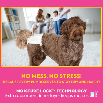 OUT! Petcare Disposable Dog Diapers Female, Potty Training, Female Dog Diapers, Puppy Training, Pet Supplies, For Incontinence, Puppy Essentials, 18”- 25” Waist, Medium/Large, 14 Count