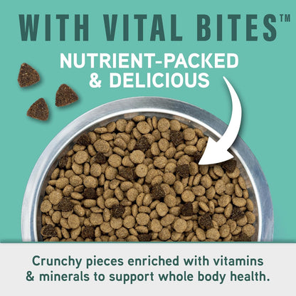 Natural Balance Specialized Nutrition Dry Dog Food with Chicken and Oatmeal for Dogs, Small Breed Digestive & Joint Health, Natural Ingredients with Added Vitamins & Minerals - 12 lbs