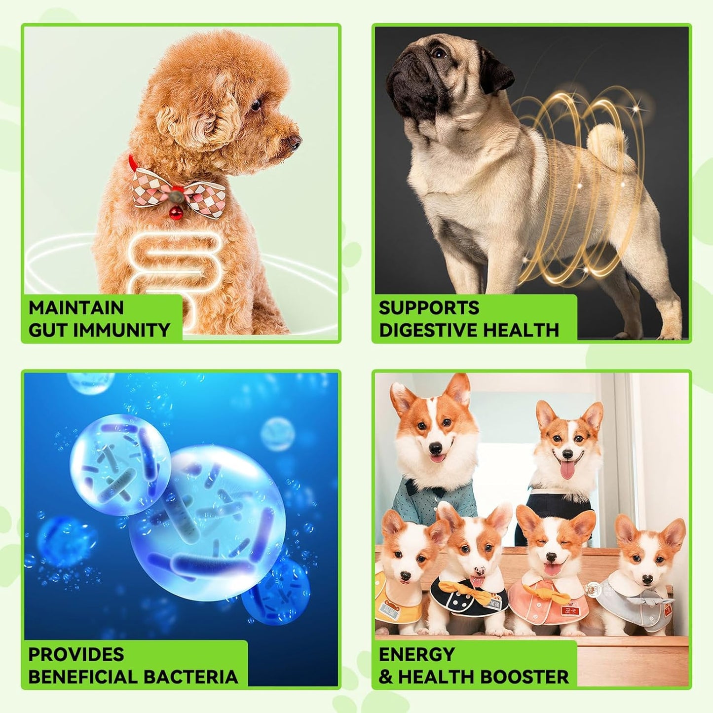 Liquid Dog Probiotic,Natural 3 in 1 Probiotic for Dogs, Dog Digestive Support,Gut Health Support,Help with Diarrhea,Gas and Bloating,Dog Herbal Supplements- 60ml