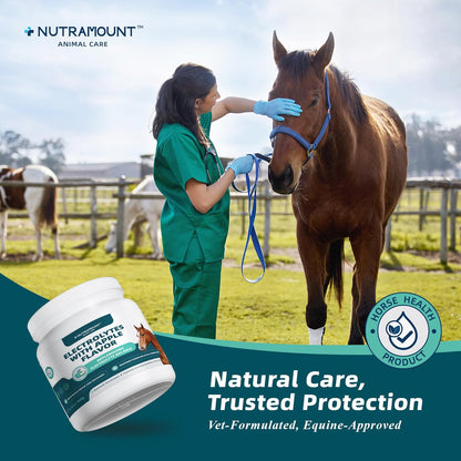 Equine Electrolytes Supplement with Apple Flavor, Replenish Lost Minerals & Support Hydration for Horses During Training, Hot Weather or Travel – 840g