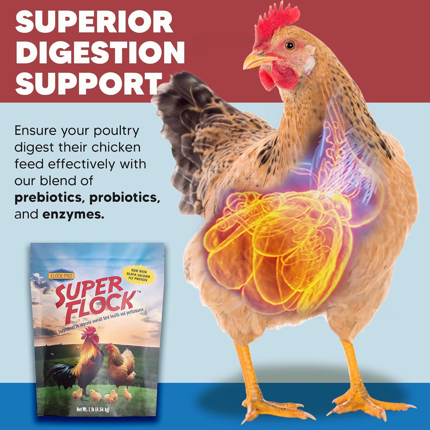 Super Flock Premium Pellet Chicken Supplement Boost Health & Egg Quality with Vitamins, Probiotics, Minerals, Chicken Supplies (1 lb)