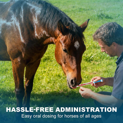 Ivermectin Equine Paste 1.87% – Apple Flavored Oral Dewormer for Horses, 6-Pack