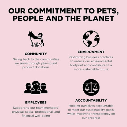 Go! Solutions Sensitivities Limited Ingredients, Grain-Free Dry Dog Food, Small Bites Salmon Recipe for Sensitive Stomach, 6 lb Bag