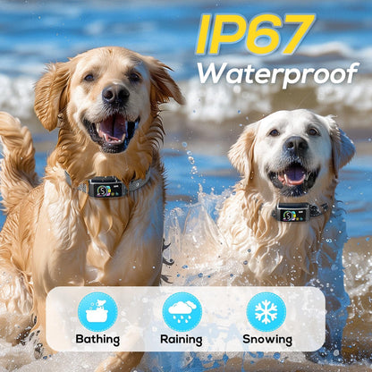 Bark Collar 2 Pack, Dog Bark Collar for Large Medium Small Dogs, Rechargeable Anti Barking Training Collar with Beep Vibration, Smart Collar with 5 Adjustable Sensitivity