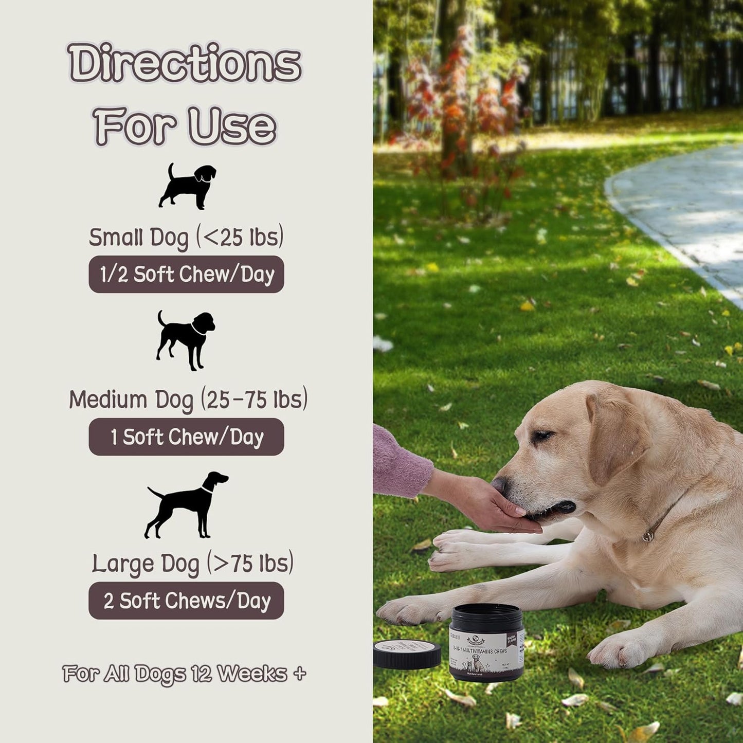 Best Buddy Multivitamin 15-in-1 Treats for Dogs I Cats, Complete Health Supplement Joint Support + Digestive Enzymes, Grain Free Dog Vitamins and Supplements for Skin & Coat (Bacon/Pork, 225g)