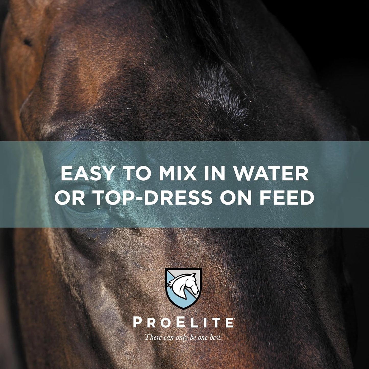 ProElite Aqua Aide, Electrolyte Horse Supplement, 15 lbs