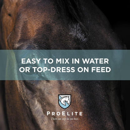 ProElite Aqua Aide, Electrolyte Horse Supplement, 15 lbs