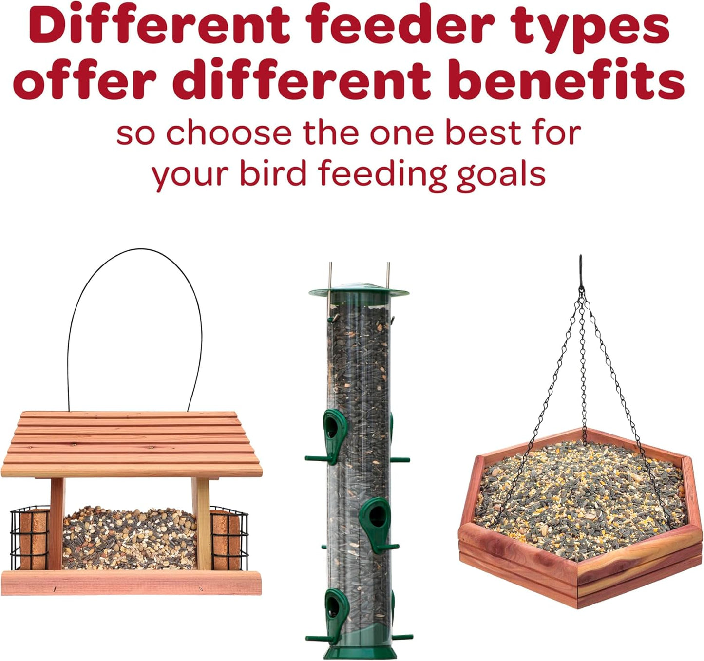 Kaytee All American Wild Bird Food Seed Blend, 5 Pound