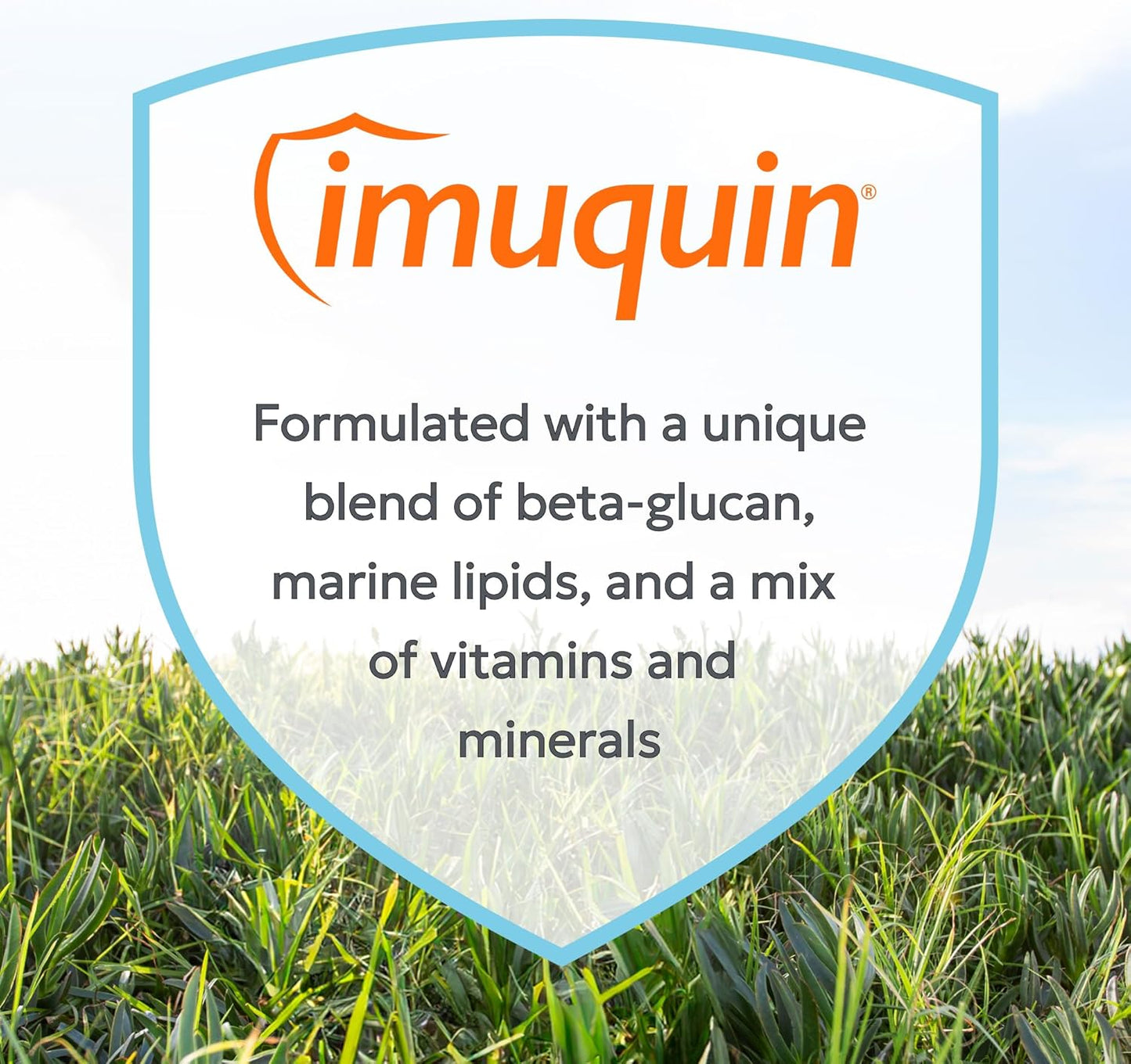 Nutramax Laboratories Nutramax Imuquin Immune Health Supplement Powder for Dogs, with Beta Glucans, Marine Lipids, Vitamins and Minerals, 30 Packets, Updated Version