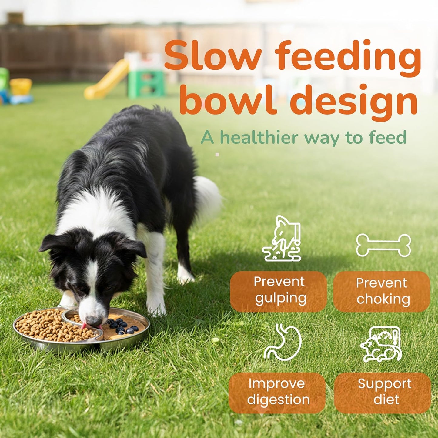 Stainless Steel Slow Feeder Dog and cat Bowl & Lick Mat – 2 Cups, Enrichment Puzzle for Small & Medium Pets, Improves Digestion & Supports Meal Variety, with Non-Slip Suction Cups