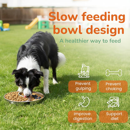 Stainless Steel Slow Feeder Dog and cat Bowl & Lick Mat – 2 Cups, Enrichment Puzzle for Small & Medium Pets, Improves Digestion & Supports Meal Variety, with Non-Slip Suction Cups