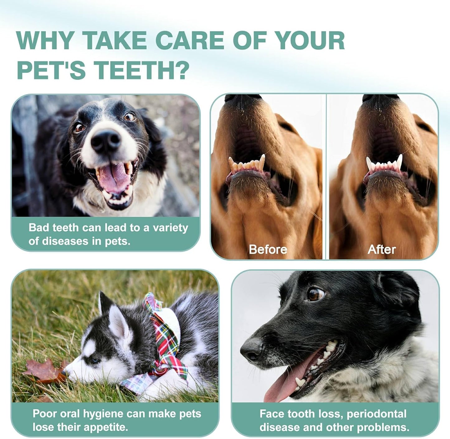 4Pcs Professional Pet Toothbrush, Dog & Cat Soft Bristle Double-Sided Brush Head Set, Pet Brushing Teeth to Clean Teeth to Reduce Tartar Buildup, Pet Dental Care Essentials