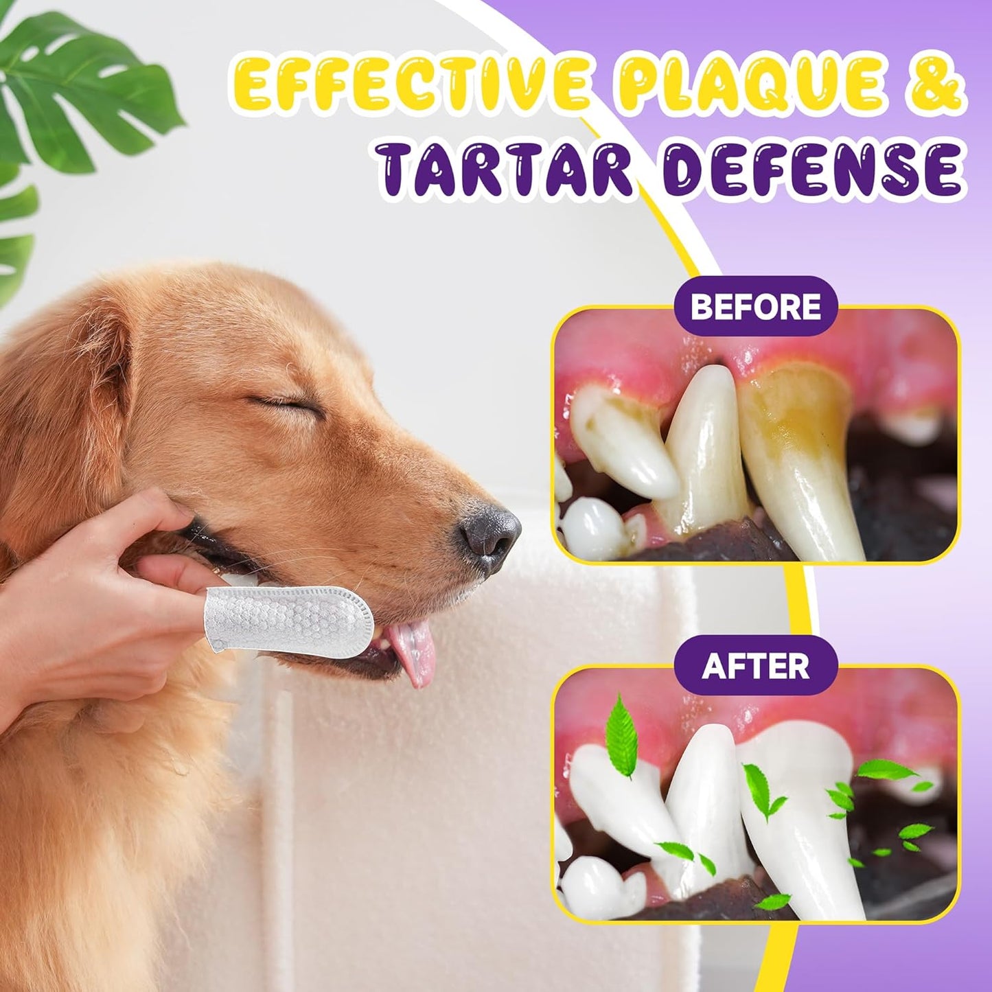 Dog Teeth Cleaning Wipes for Bad Breath – 50 Pcs,Dental Wipes for Dogs & Cats to Remove Plaque, Tartar & Freshen Breath,No-Rinse Toothpaste Alternative,Gentle Gum Care for Puppy, Adult & Senior Pets