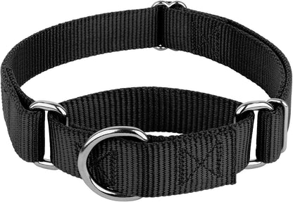 Country Brook Petz - Martingale Dog Collar - Heavy-Duty Training Collar with No Buckle - Service Dog Collar for All Pups - 10+ Cool Colors (Black, 1 Inch, Medium)