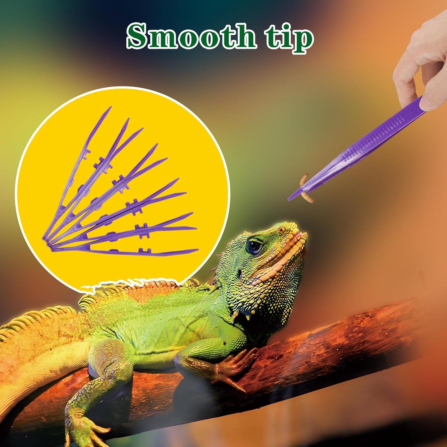 5-Pack Reptile Feeding Tongs Set - Hygienic Anti-Slip Purple Tweezers for Bearded Dragons, Lizards, Snakes, Aquariums & Small Animals(Five Colors to Choose from)
