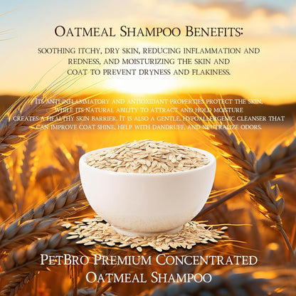 Premium Concentrated Oatmeal Dog Shampoo with Coconut and Aloe (17 oz) - Soothing and Itch Relief, Moisturizes Dry Skin