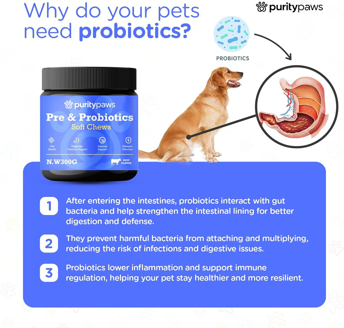 Probiotics for Dogs – Digestive & Immune Support Chews with Probiotics – Natural Gut Health Supplement for Diarrhea, Gas & Allergies (120 Count)