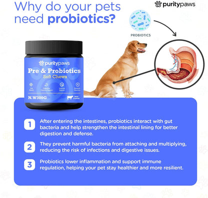 Probiotics for Dogs – Digestive & Immune Support Chews with Probiotics – Natural Gut Health Supplement for Diarrhea, Gas & Allergies (120 Count)