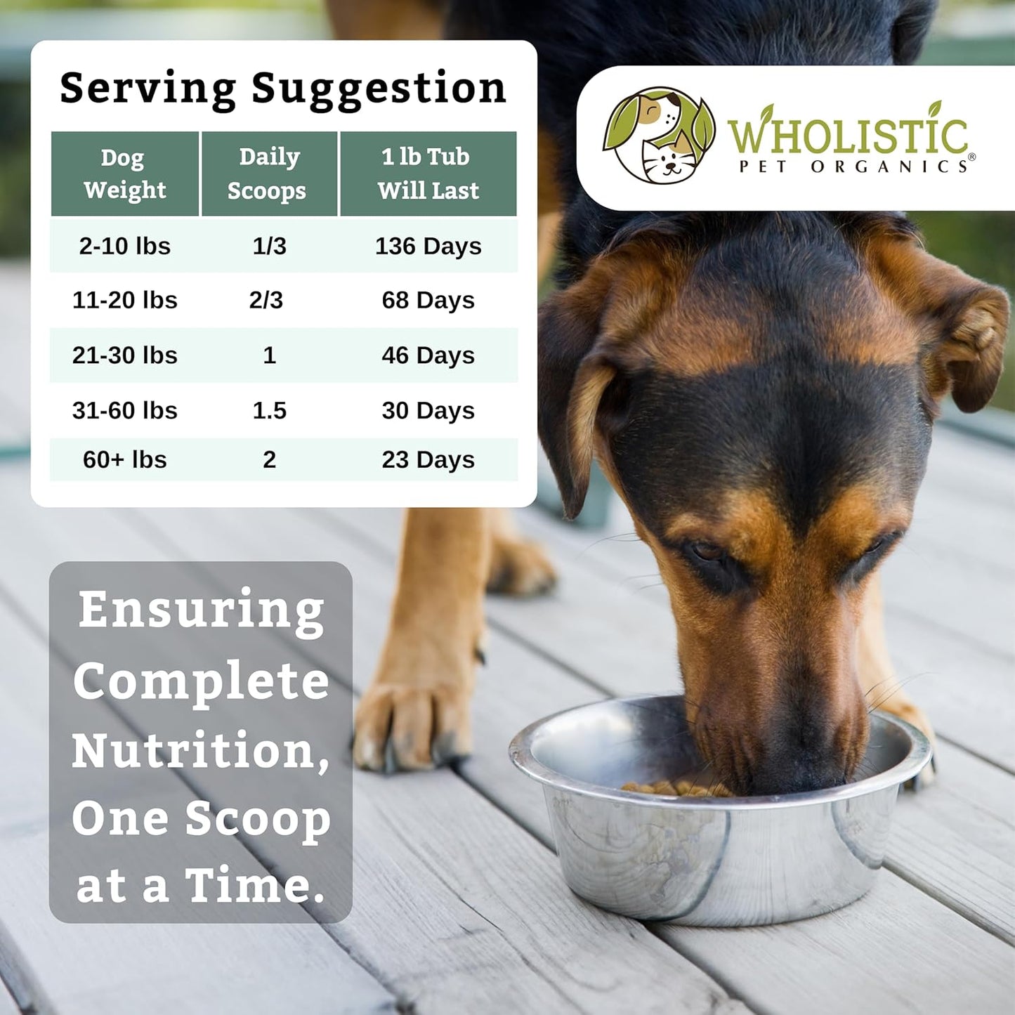 Wholistic Pet Organics Canine Complete & Dog Probiotics Powder - Dog Multivitamins with Prebiotics and Probiotics for Immune System, Digestive Health & Overall Health Support - Promote Daily Wellness