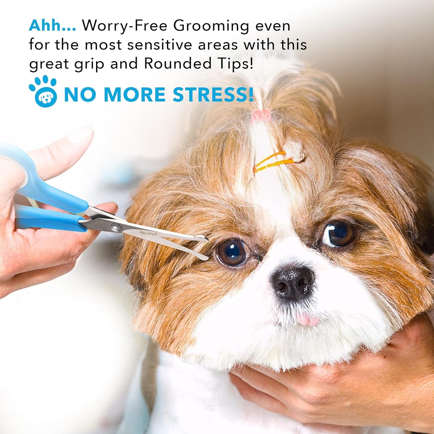 Boshel Razor-Sharp Stainless Steel Dog Grooming Scissors for Grooming Professionals at Home with Rounded Safety Tips, 2 Pack