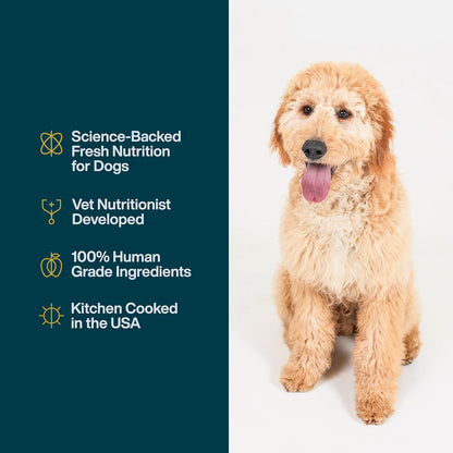 JustFoodForDogs JustFresh Wet Dog Food, Fresh Pet Meals and Toppers with No Preservatives, Resealable Package, Human Grade, Home-Cooked Chicken, 12 oz - 7 Pack