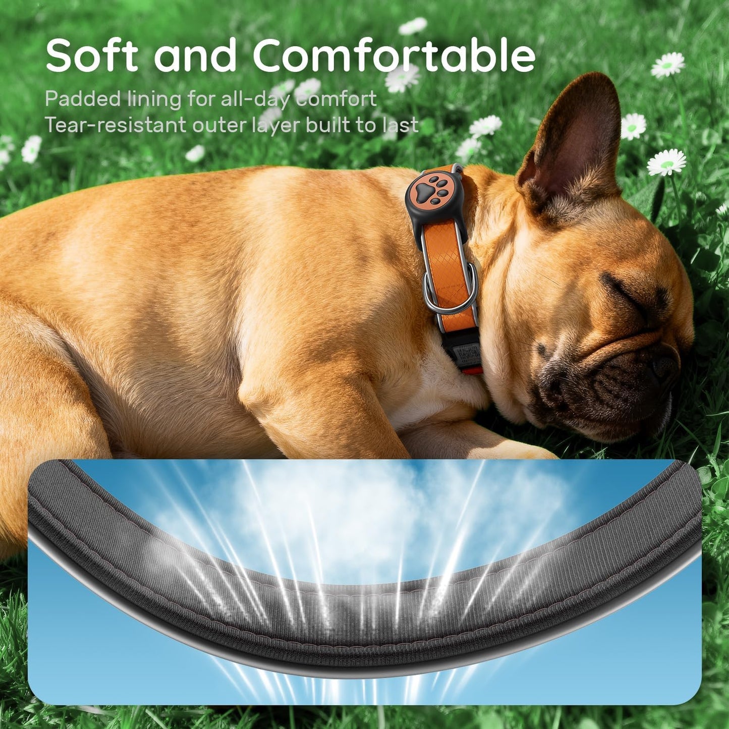 Airtag Dog Collar, IPX8 Waterproof Air Tag Dog Collar Holder | Reflective Ultra-Durable | Soft Padded | Safety Locking Buckle | Fit Miedium Dogs (Orange M(12.6"-19.6"))